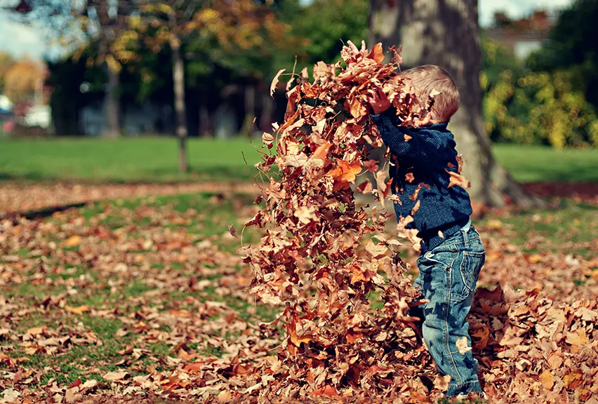 5 Reasons why outdoor play is just as important in autumn image